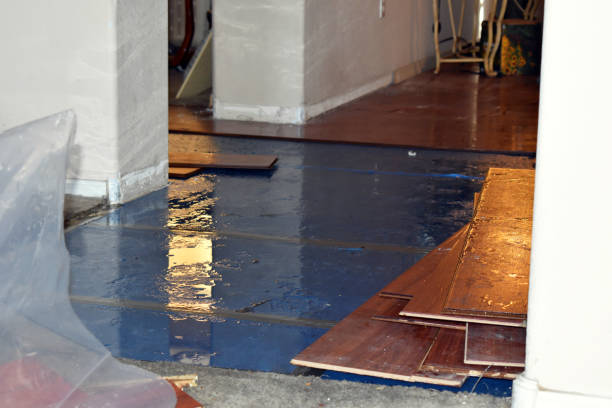 Professional Water Damage technician working in Lopez Island, WA