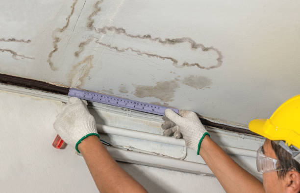 Reliable Water Damage contractor in Lopez Island, WA by Water Damage Irwin